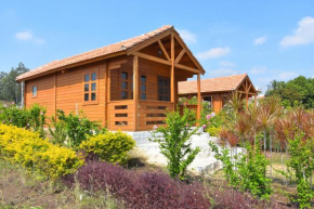  IROOMZ Leo wodden Resort  Хампи